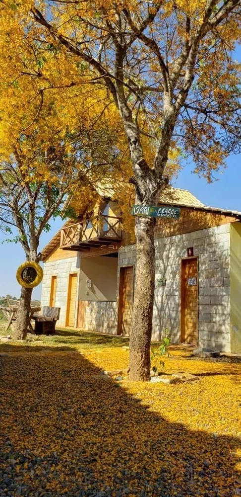 Chácara, 10 quartos, 100 hectares - Foto 3