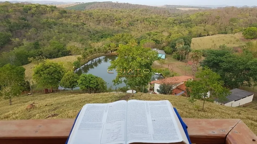 Chácara, 10 quartos, 100 hectares - Foto 4