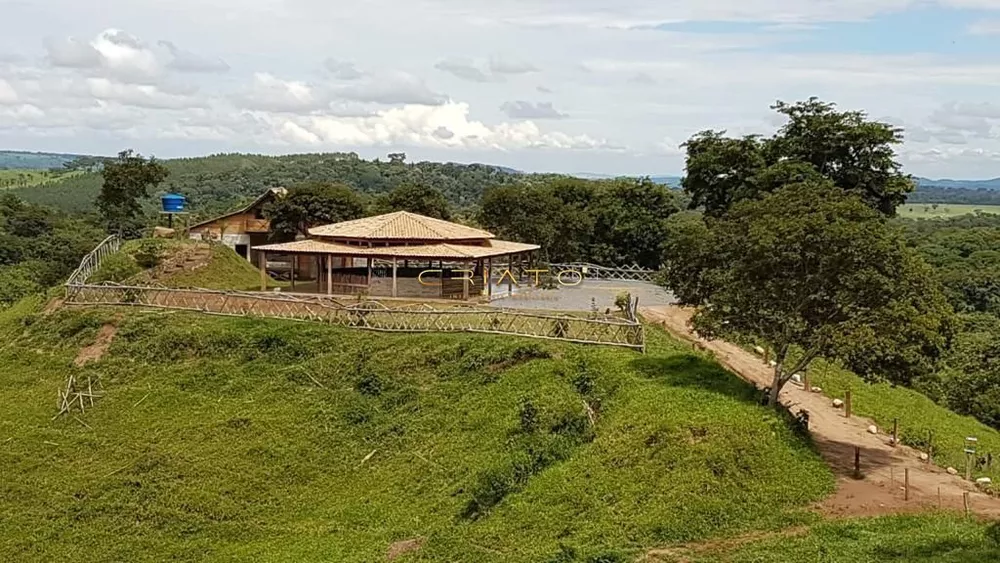 Chácara, 10 quartos, 100 hectares - Foto 5