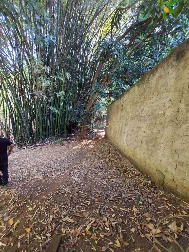 Fazenda-Sítio-Chácara, 907 hectares - Foto 3