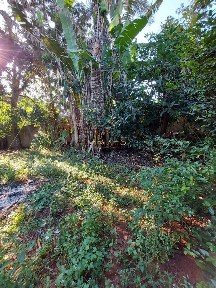 Fazenda-Sítio-Chácara, 907 hectares - Foto 2