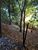Fazenda, 907 hectares - Foto 4