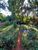 Fazenda, 907 hectares - Foto 1