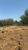 Terreno, 420 m² - Foto 3