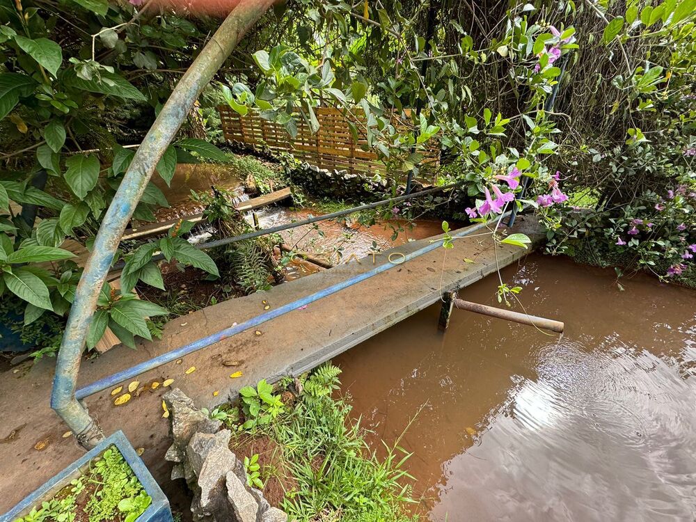 Chácara, 3 quartos, 1 hectares - Foto 7