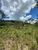 Fazenda-Sítio-Chácara, 1000 hectares - Foto 3