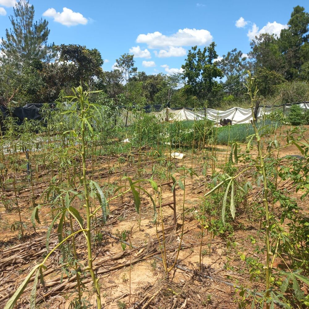 Terreno à venda, 500m² - Foto 6