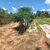 Terreno, 500 m² - Foto 2