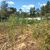 Terreno, 500 m² - Foto 6