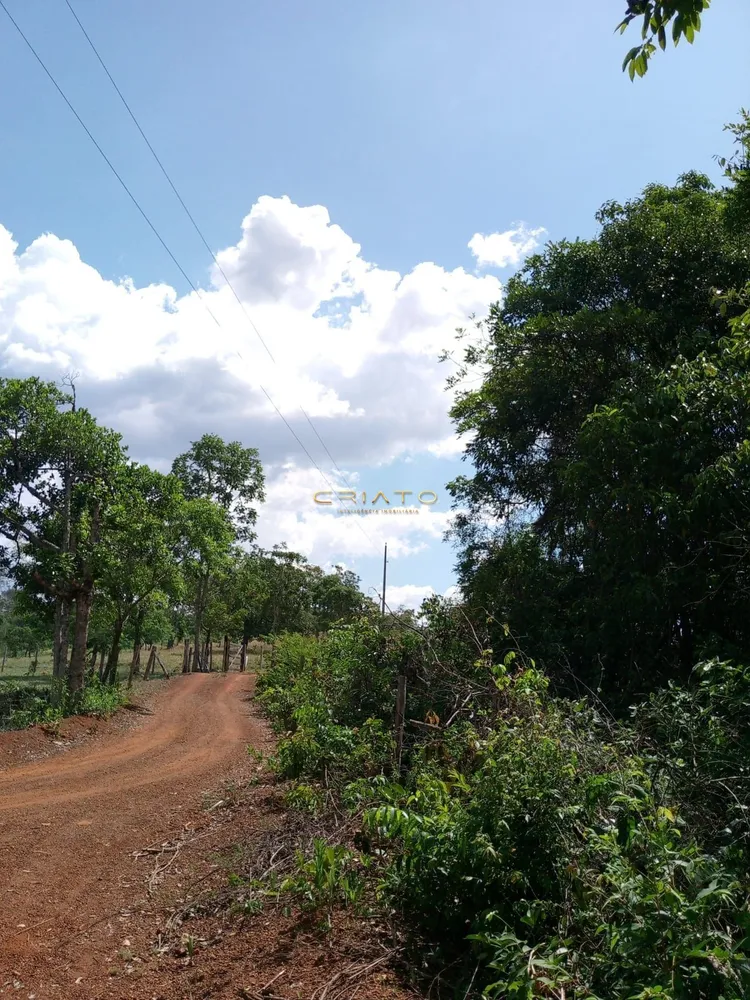 Chácara, 2 hectares - Foto 4