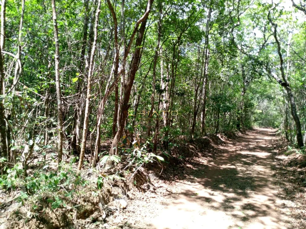 Chácara, 2 hectares - Foto 12