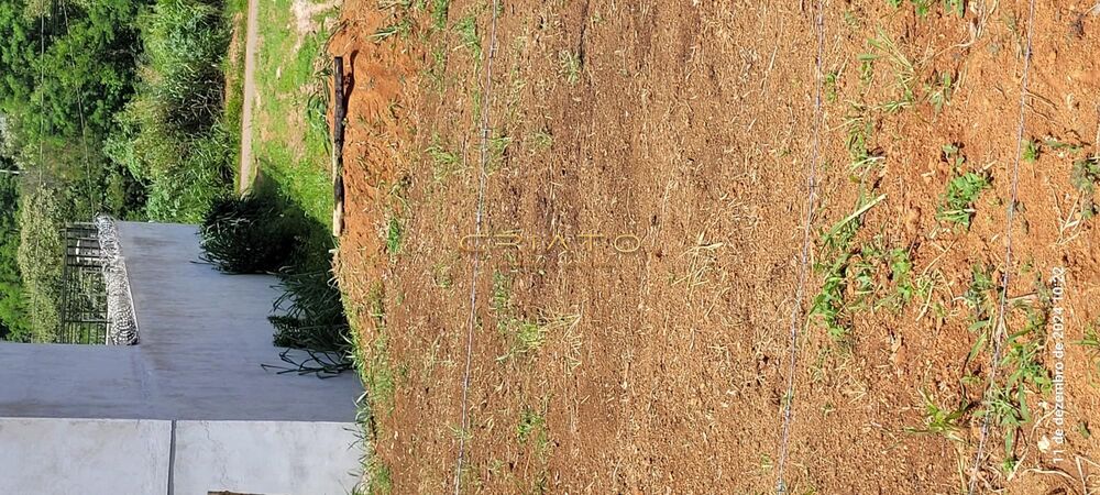 Terreno, 200 m² - Foto 9
