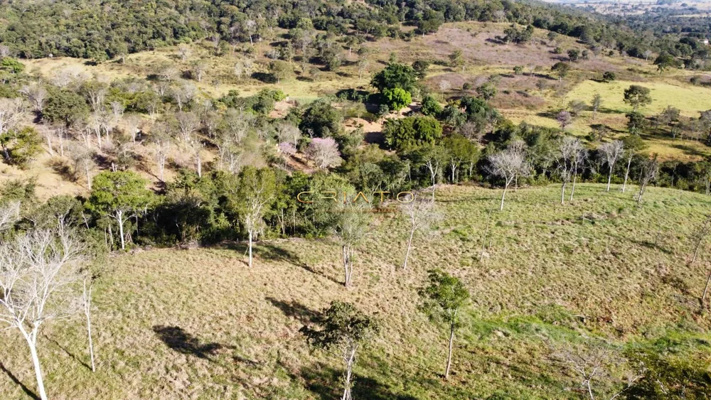 Fazenda à venda, 160000m² - Foto 4