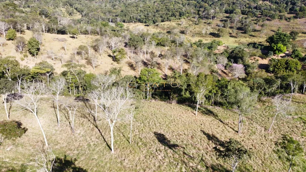 Fazenda à venda, 160000m² - Foto 2