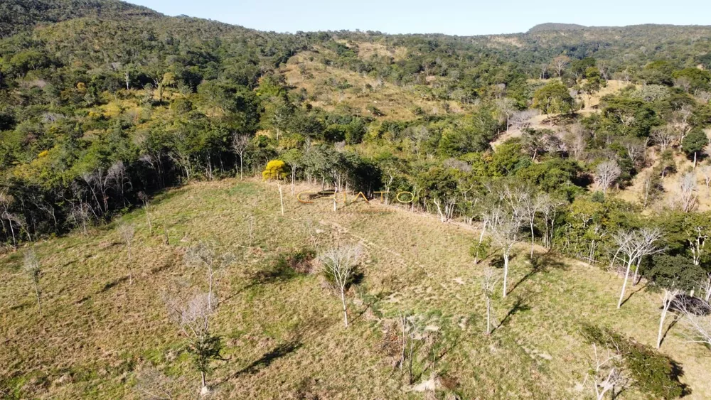 Fazenda à venda, 160000m² - Foto 3