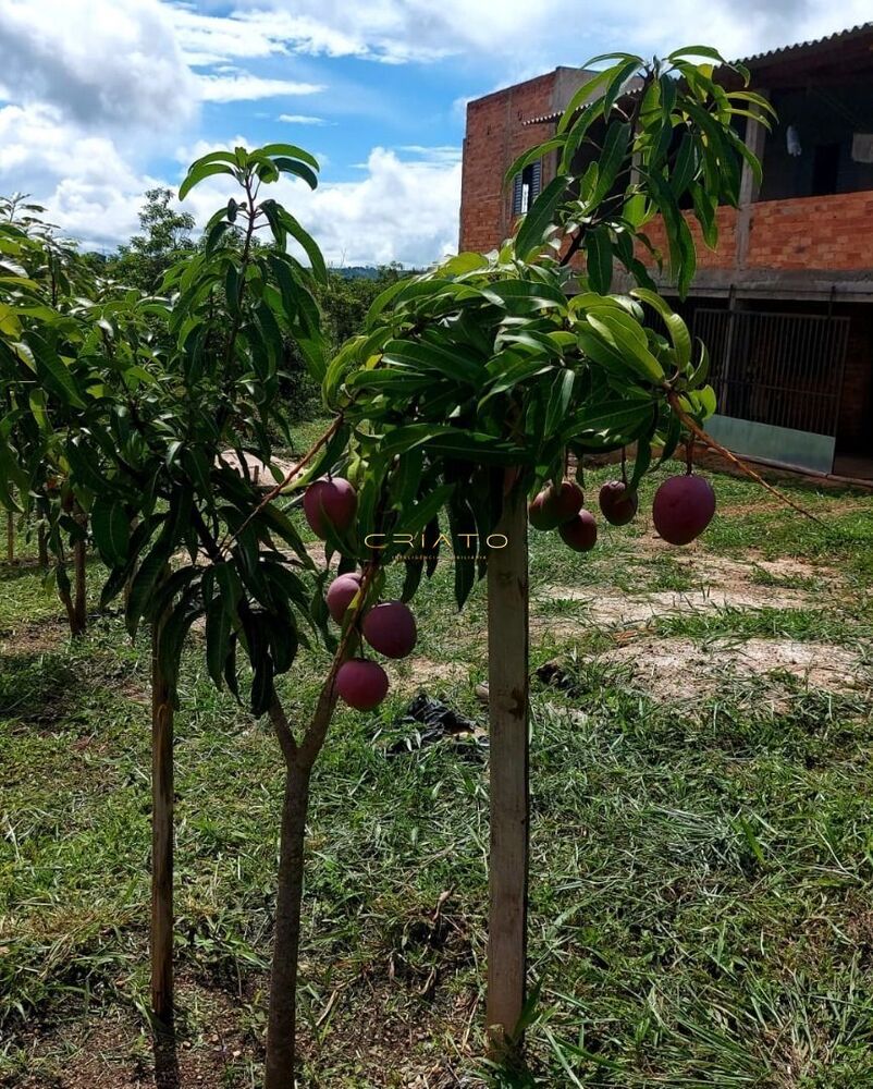 Chácara à venda com 3 quartos, 240m² - Foto 2
