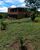 Chácara, 3 quartos, 6300 m² - Foto 8