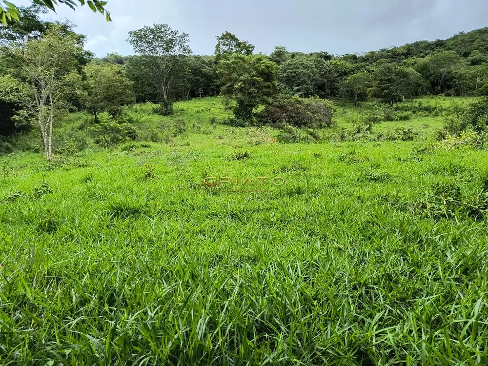 Loteamento e Condomínio à venda, 145000m² - Foto 2