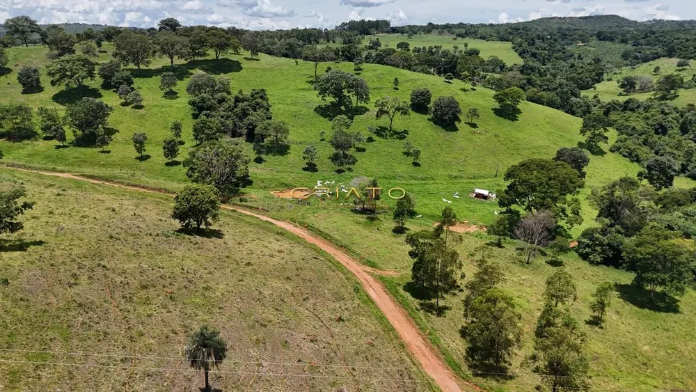 Fazenda, 44 hectares - Foto 6