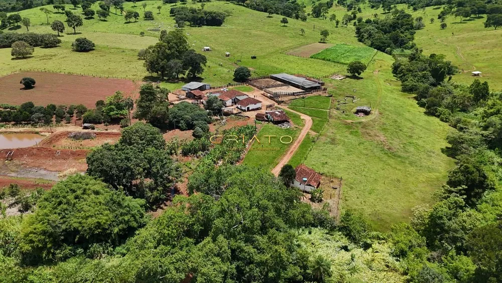 Fazenda, 44 hectares - Foto 12