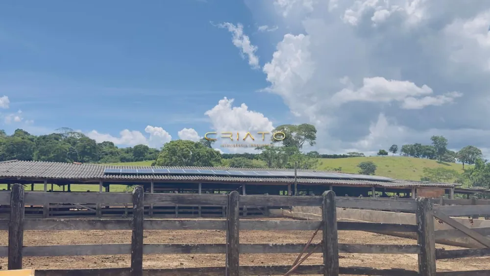 Fazenda, 44 hectares - Foto 2