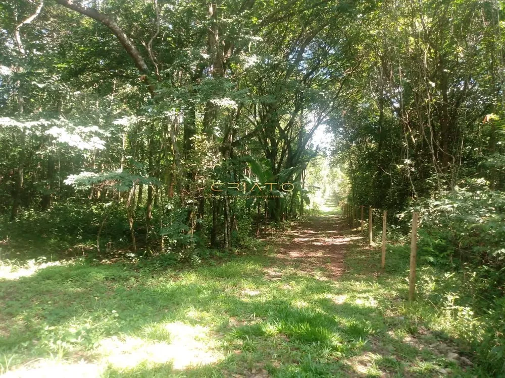 Fazenda à venda com 1 quarto, 30000m² - Foto 3