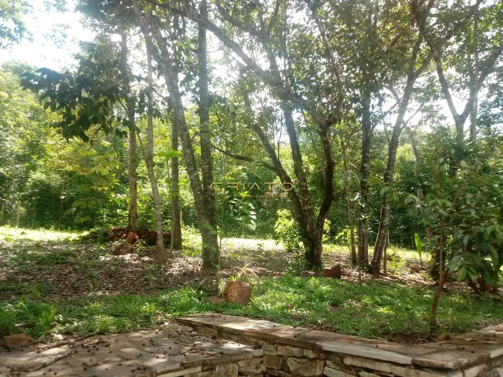 Fazenda à venda com 1 quarto, 30000m² - Foto 2