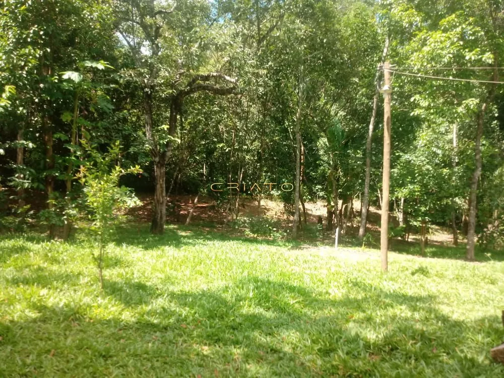 Fazenda à venda com 1 quarto, 30000m² - Foto 4