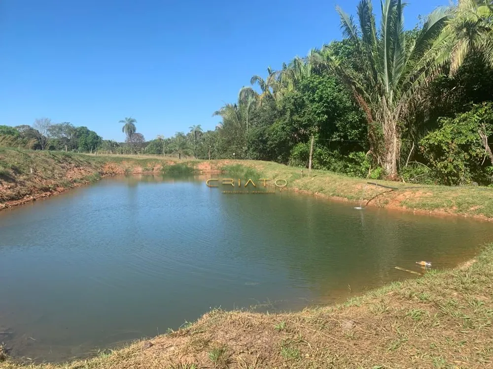 Sítio, 2 quartos, 62 hectares - Foto 6