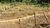 Terreno, 580 m² - Foto 1