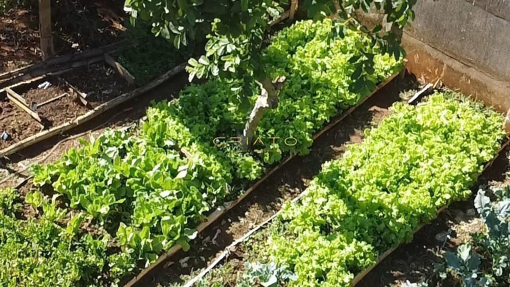 Casa, 3 quartos, 140 m² - Foto 14