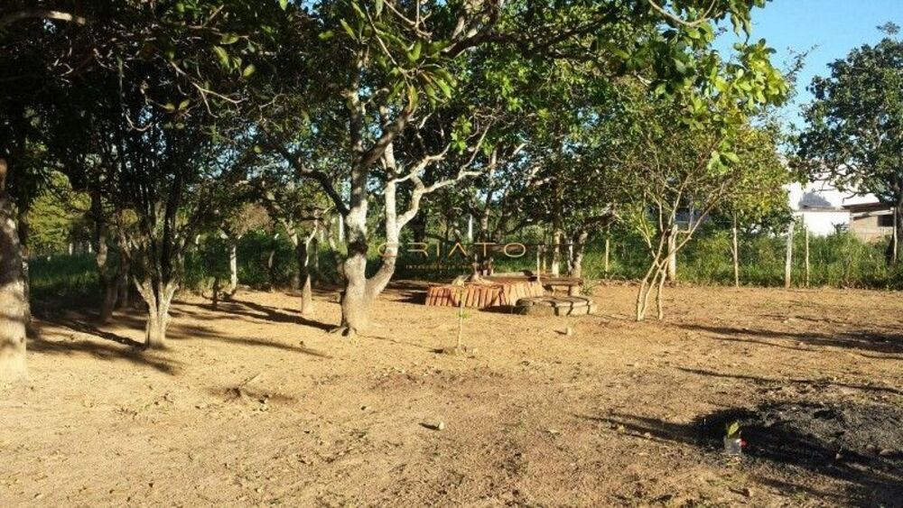 Chácara à venda com 3 quartos, 1000m² - Foto 6