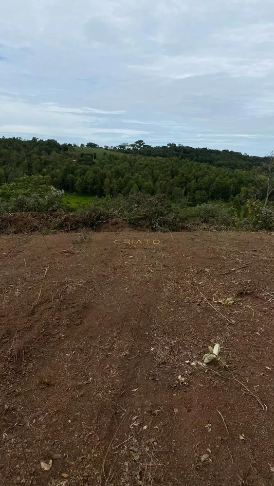 Fazenda à venda, 20000m² - Foto 1