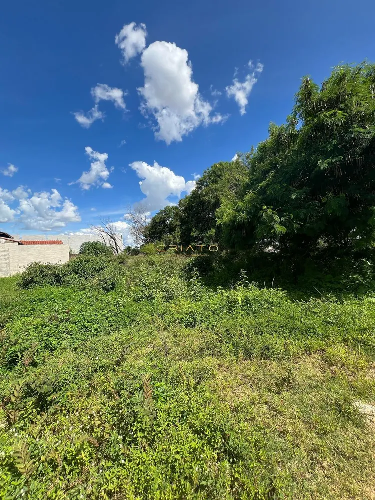 Terreno, 1706 m² - Foto 5