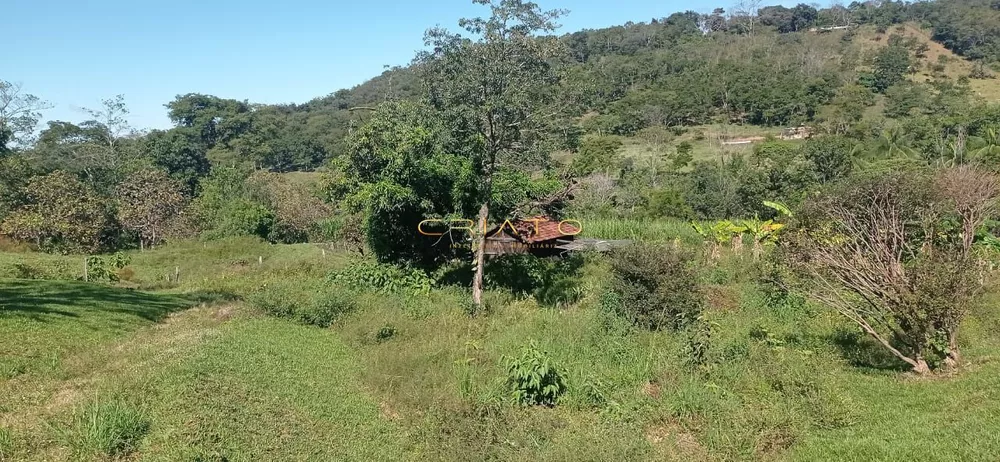 Fazenda à venda com 2 quartos, 240000m² - Foto 4