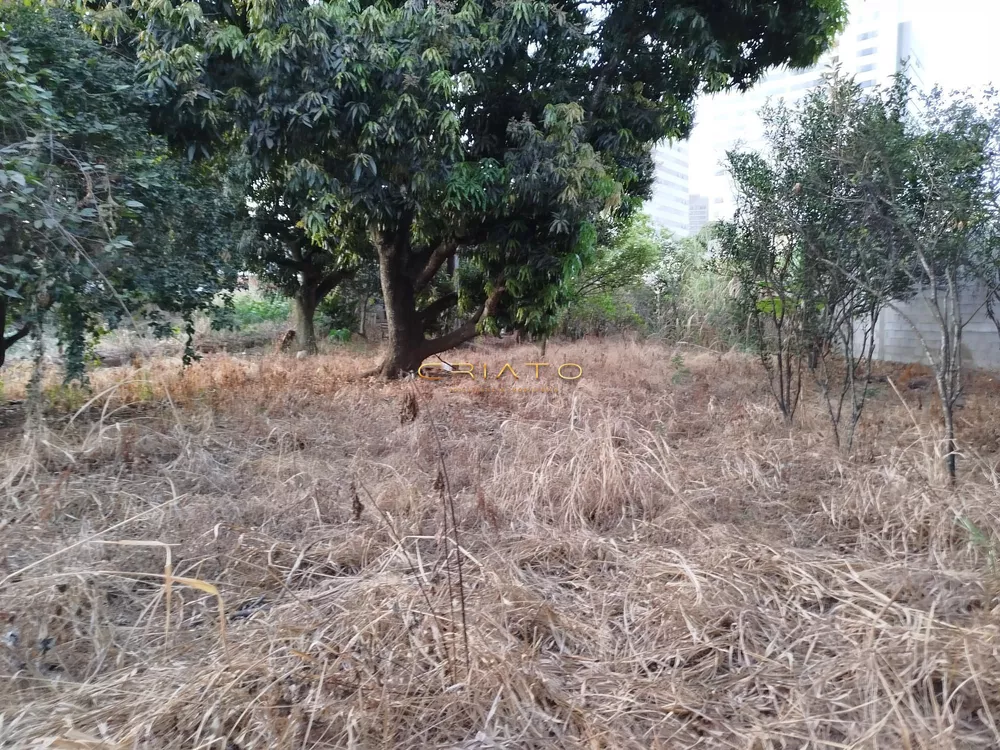 Loteamento e Condomínio à venda, 1100m² - Foto 1