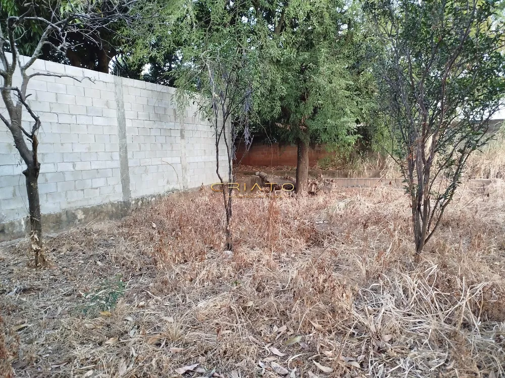 Loteamento e Condomínio à venda, 1100m² - Foto 3