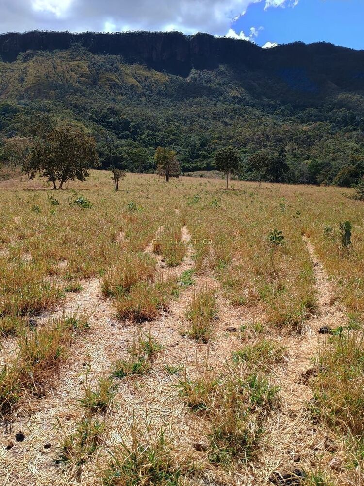 Fazenda à venda com 2 quartos, 5390000m² - Foto 10
