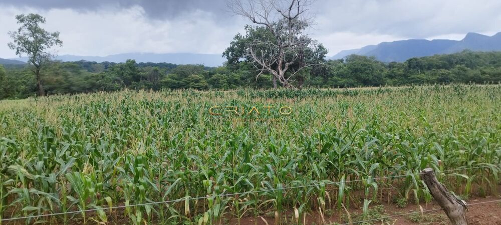 Fazenda à venda com 2 quartos, 5390000m² - Foto 1