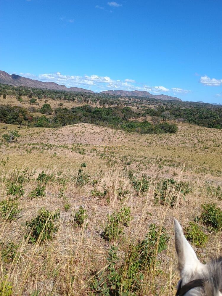 Fazenda à venda com 2 quartos, 5390000m² - Foto 3