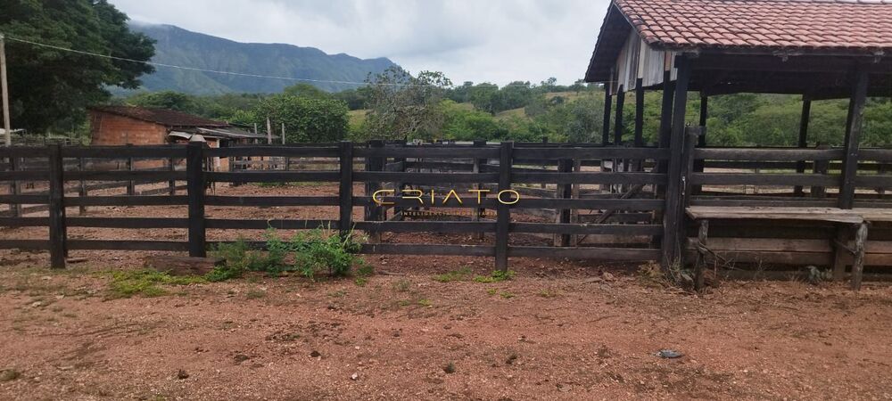 Fazenda à venda com 2 quartos, 5390000m² - Foto 18