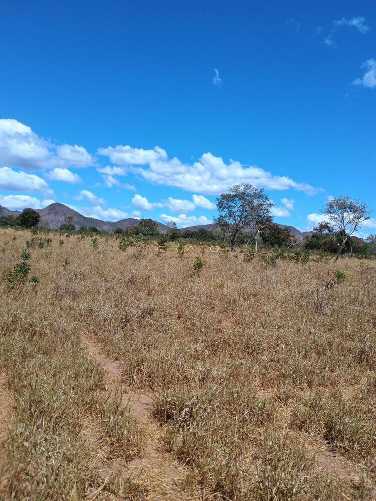 Fazenda à venda com 2 quartos, 5390000m² - Foto 19