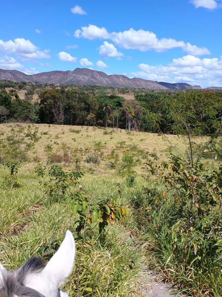 Fazenda à venda com 2 quartos, 5390000m² - Foto 12