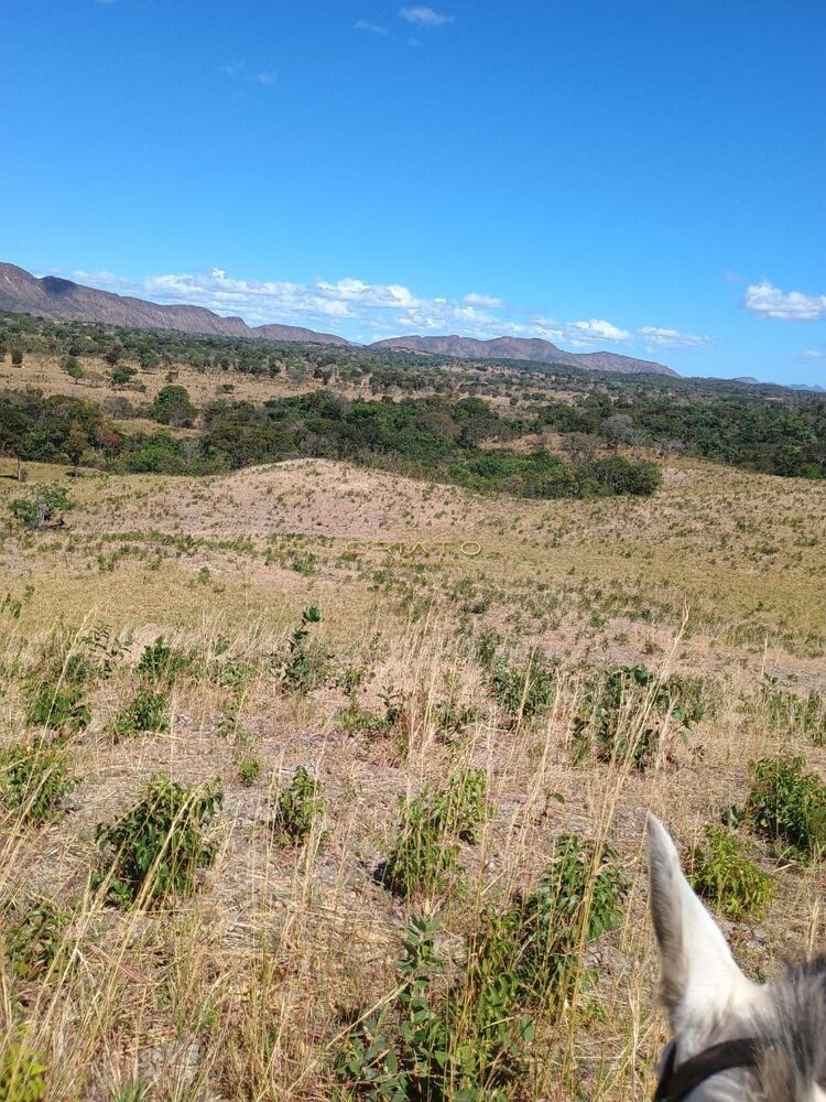 Fazenda à venda com 2 quartos, 5390000m² - Foto 7