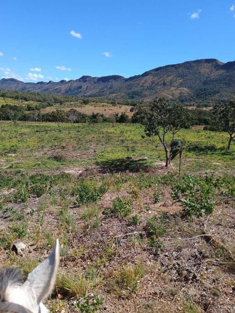 Fazenda à venda com 2 quartos, 5390000m² - Foto 6
