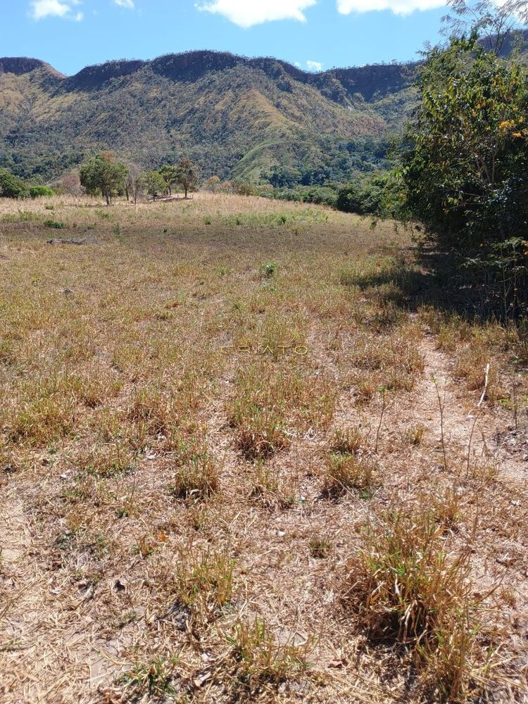 Fazenda à venda com 2 quartos, 5390000m² - Foto 8