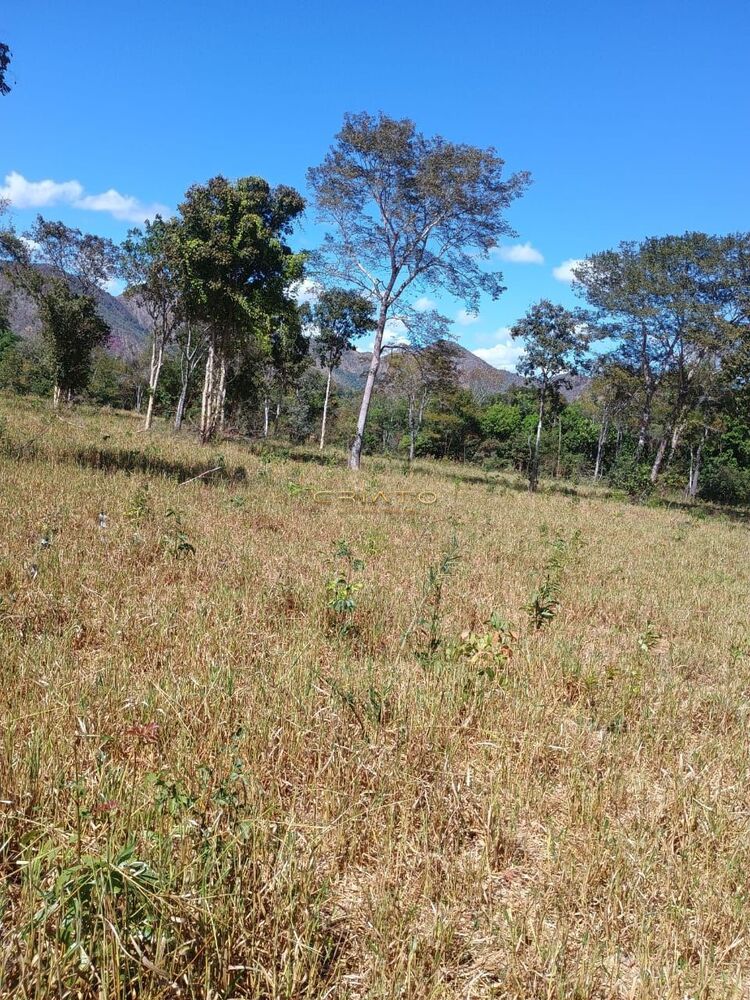 Fazenda à venda com 2 quartos, 5390000m² - Foto 4
