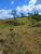 Fazenda-Sítio-Chácara, 539 hectares - Foto 20