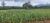 Fazenda-Sítio-Chácara, 539 hectares - Foto 1