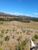 Fazenda-Sítio-Chácara, 539 hectares - Foto 3